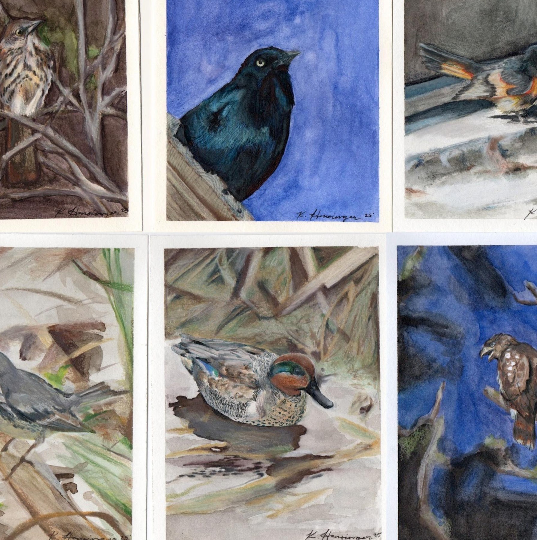 NC Birds Series by Kiley Honsinger