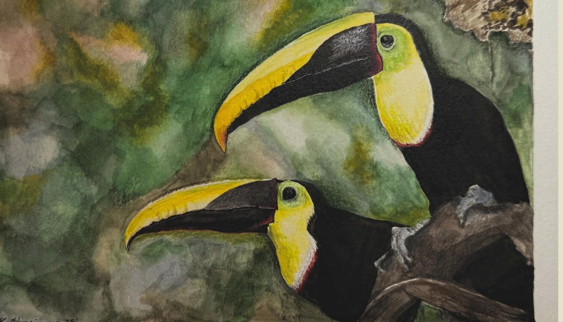 Yellow-Throated Toucans watercolor and colored pencil artwork by Kiley Honsinger
