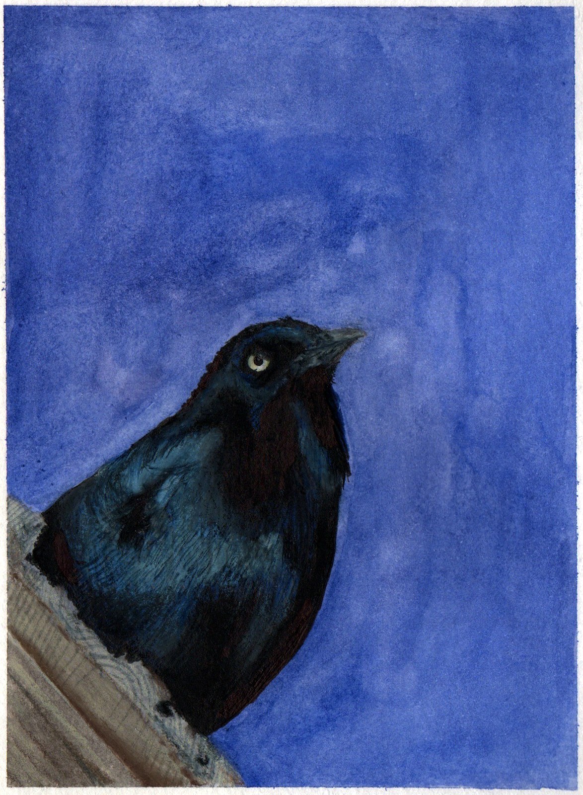 Bird print artwork by Kiley Honsinger